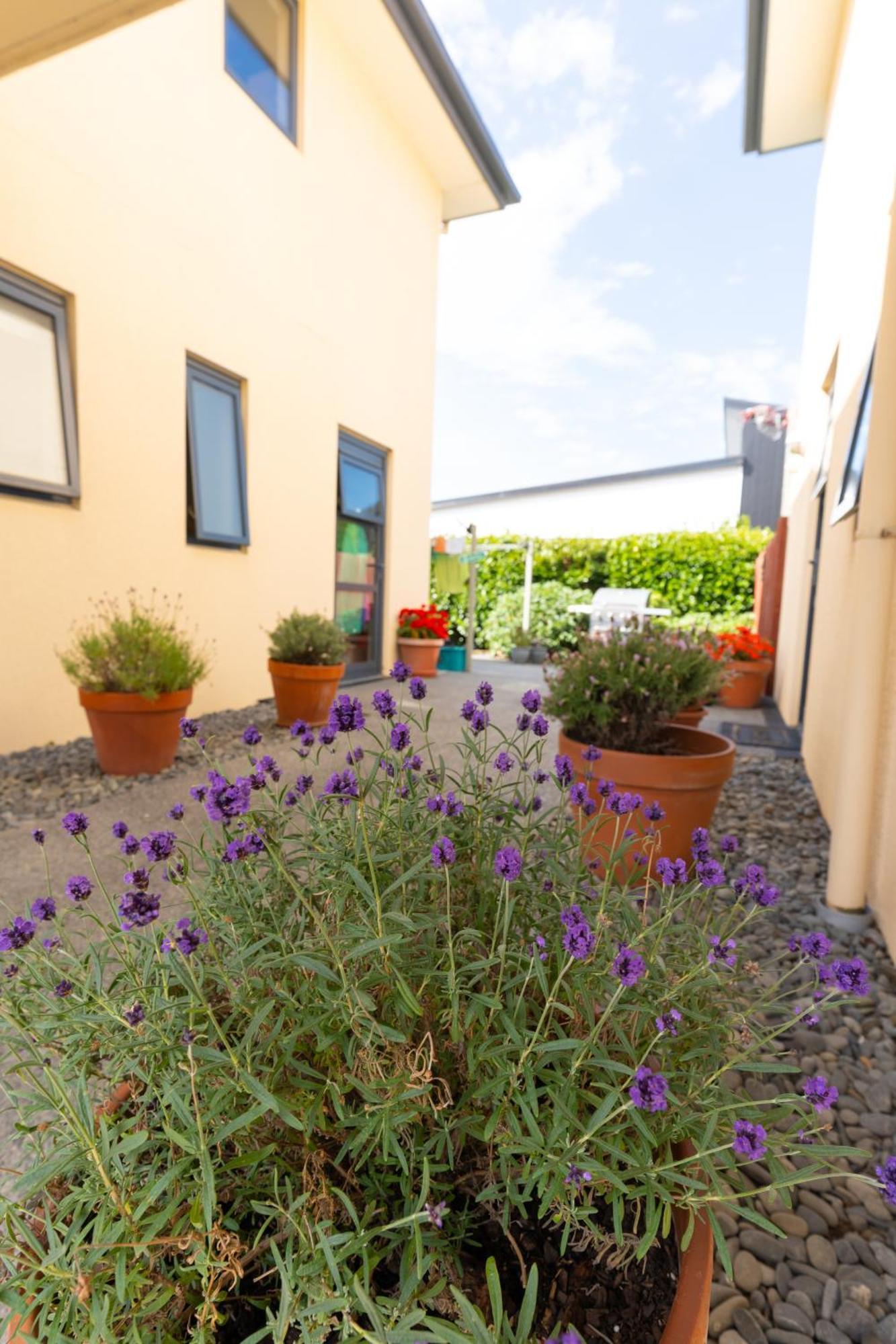 Bella Vista Motel אשברטון מראה חיצוני תמונה